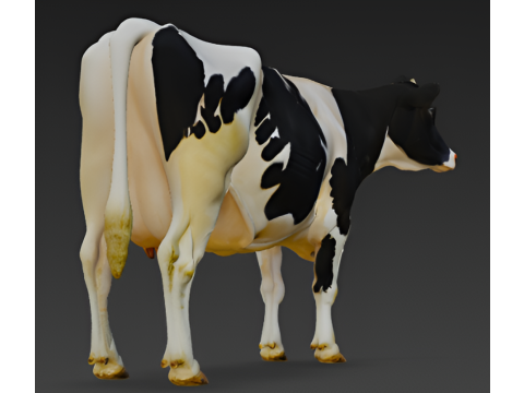 Holstein Cow 3D Model