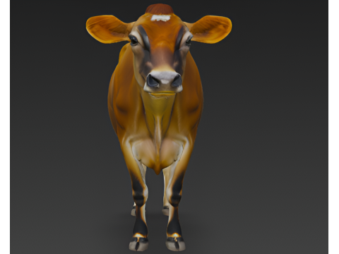 Jersey Cow 3D Model
