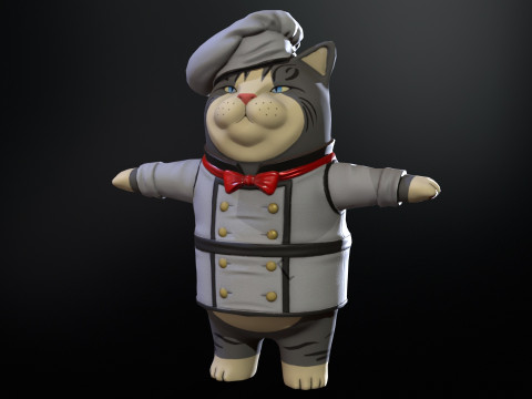 Cook 3D Model