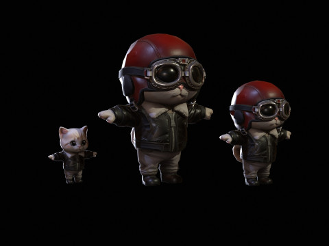 Cat3Pack2 3D Model