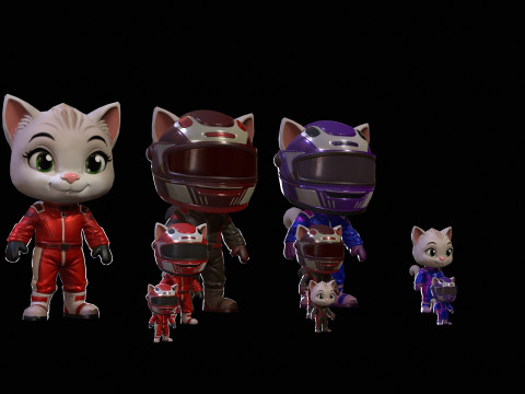 Cat5Pack3 Modello 3D