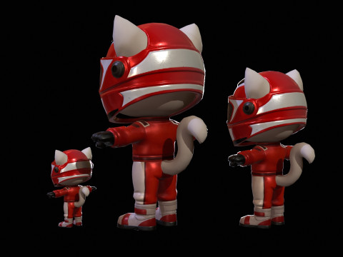 Cat5Pack3 Modello 3D