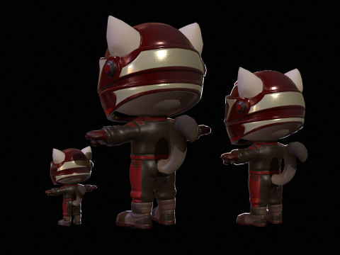 Cat5Pack3 Modello 3D