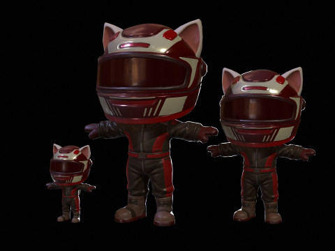 Cat5Pack3 Modello 3D