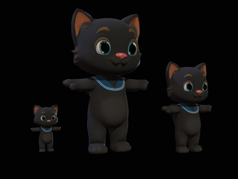 Cat8Pack3 3D 모델