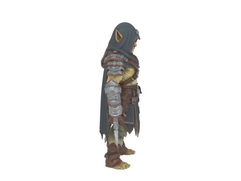 Highly Detailed Stealthy Goblin Rogue in World of Style 3D Model