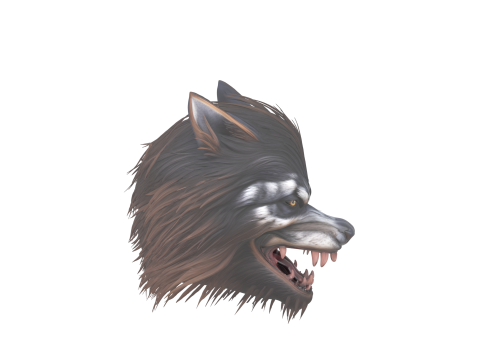 Fierce 3D Werewolf Mask with Realistic Fur and Fangs Modelo 3D