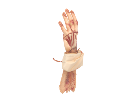 3D Rotting Zombie Arm Prop with Exposed Bones and Maggot Infestation 3D Model