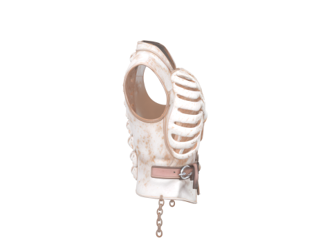 Stunning 3D Skeleton Ribcage Vest Model with Bone Buttons Model 3D