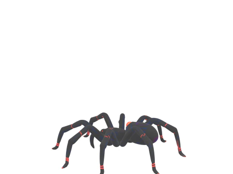 Black Widow Spider Jointed Legs Shiny Eyes 3D Model