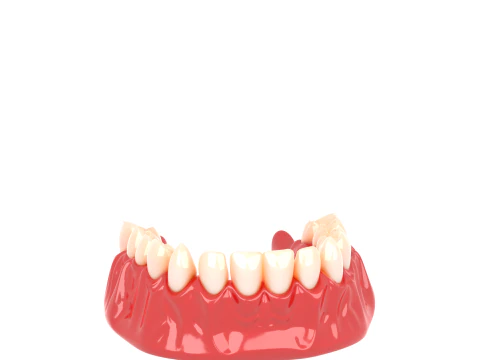 3D Intricate Vampire Fang Model with Glossy Resin Material and Blood Effects 3D Model