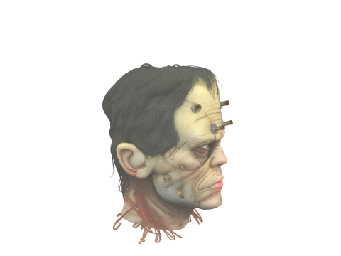 Intricate 3D Frankenstein Head Sculpture with Stitched Scars and Metallic Bolts 3D Model