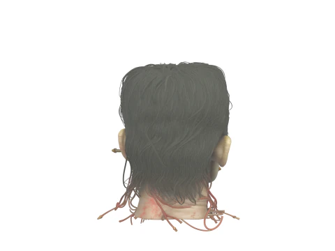 Intricate 3D Frankenstein Head Sculpture with Stitched Scars and Metallic Bolts 3D Model