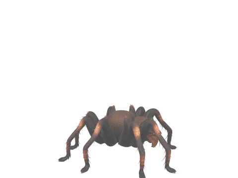 Giant Hairy Spider Plush Game Character Modelo 3D