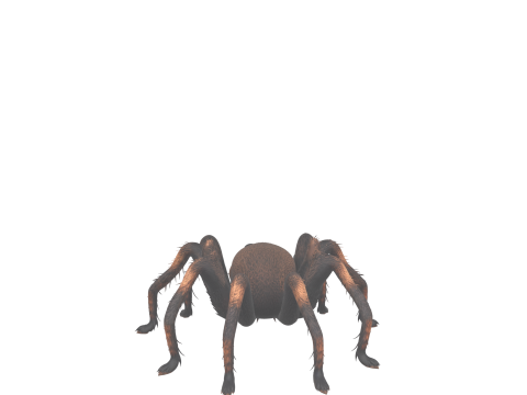 Giant Hairy Spider Plush Game Character Modelo 3D