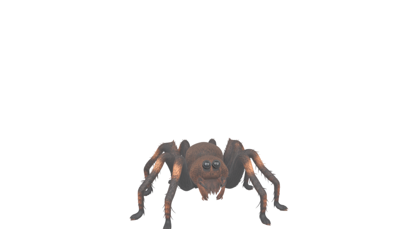 Giant Hairy Spider Plush Game Character Modelo 3D .c4d .max .obj .3ds .fbx .stl .blend