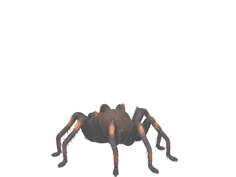 Giant Hairy Spider Plush Game Character Modelo 3D