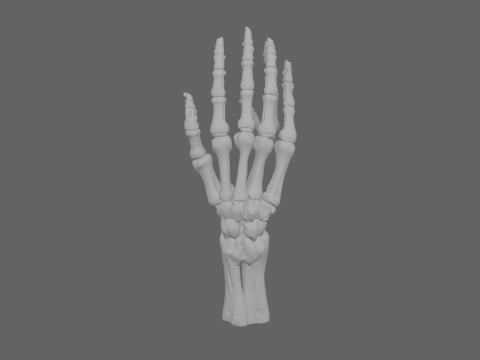 3D Articulated Skeleton Hand Candlestick Model with Bone Fingers Metallic Wick and White Resin 3D 모델