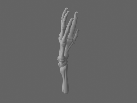 3D Articulated Skeleton Hand Candlestick Model with Bone Fingers Metallic Wick and White Resin 3D 모델
