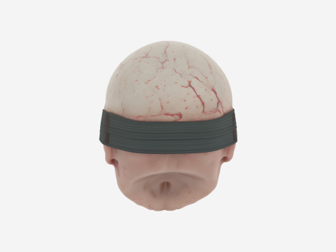 3D Detailed Zombie Eye Mask with Bulging Eyes and Vein Textures 3D Model