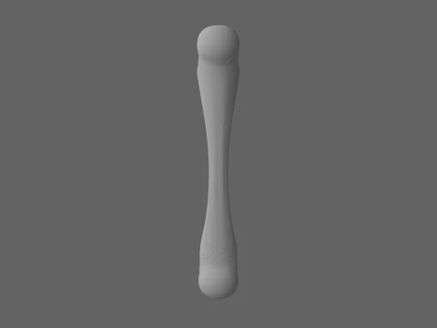 Realistic 3D Anatomy Model of Skeleton Leg Bone with Detailed Joints Marrow Exposure and Crack Patte 3D Model