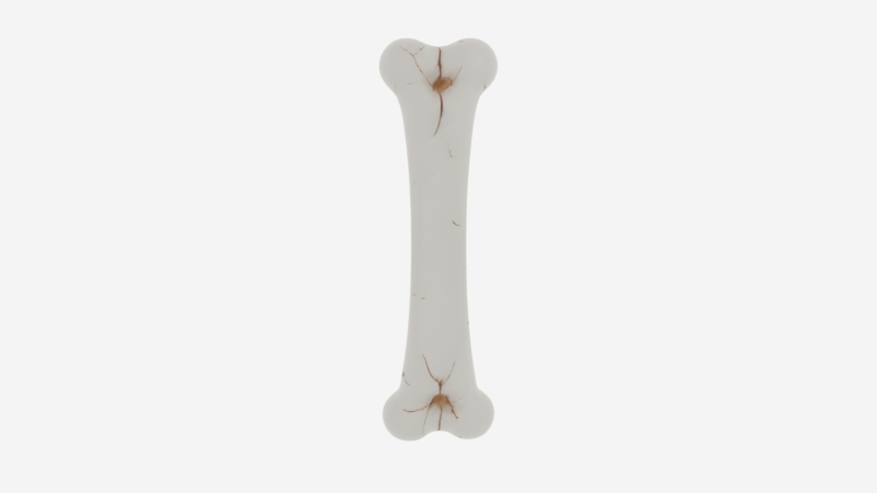 Realistic 3D Anatomy Model of Skeleton Leg Bone with Detailed Joints Marrow Exposure and Crack Patte 3Dモデル .c4d .max .obj .3ds .fbx .stl .blend