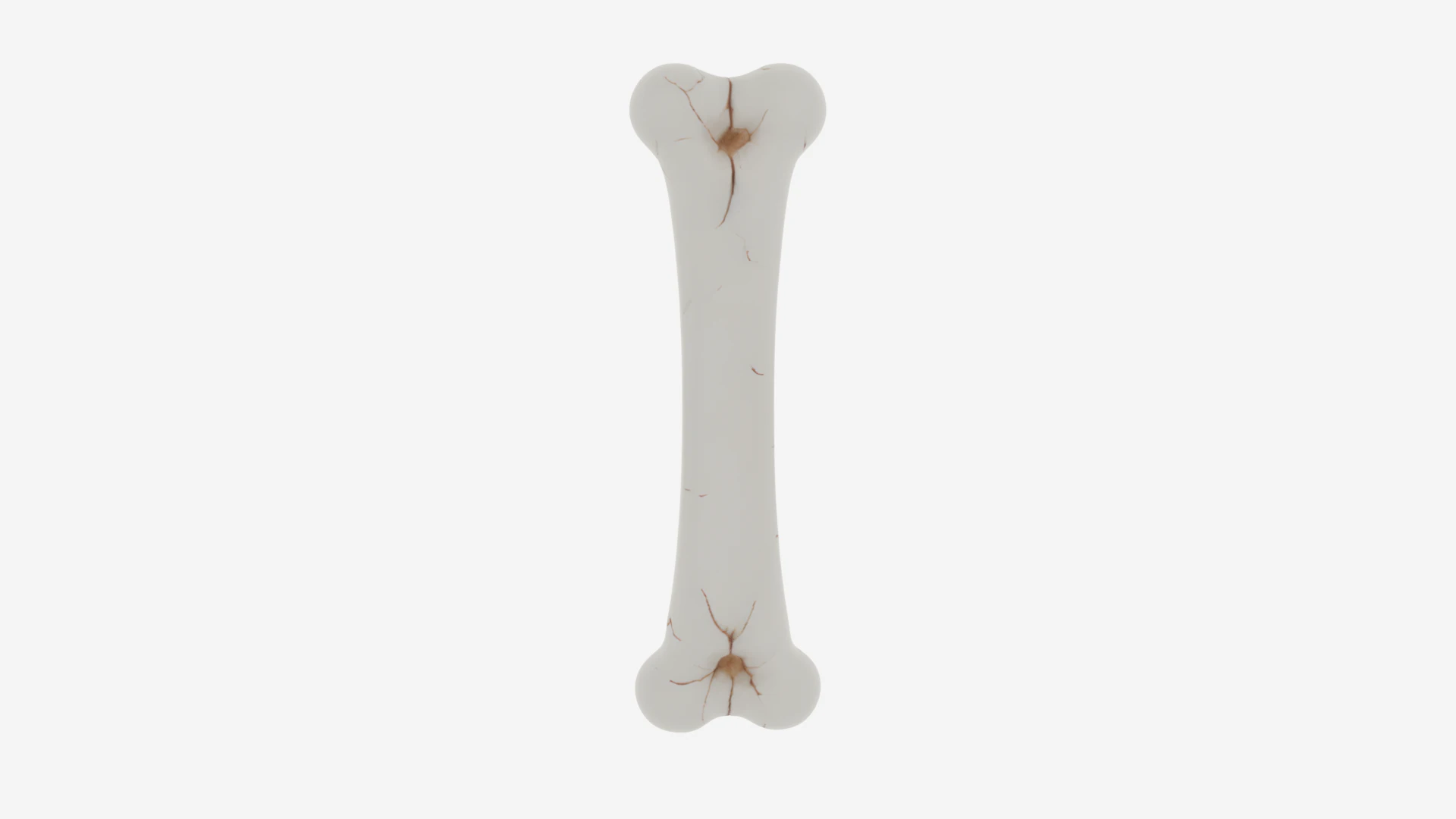Realistic 3D Anatomy Model of Skeleton Leg Bone with Detailed Joints Marrow Exposure and Crack Patte 3D Model .c4d .max .obj .3ds .fbx .stl .blend 