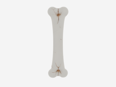 Realistic 3D Anatomy Model of Skeleton Leg Bone with Detailed Joints Marrow Exposure and Crack Patte 3Dモデル