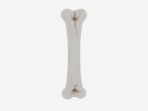 Realistic 3D Anatomy Model of Skeleton Leg Bone with Detailed Joints Marrow Exposure and Crack Patte 3Dモデル