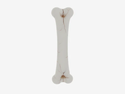 Realistic 3D Anatomy Model of Skeleton Leg Bone with Detailed Joints Marrow Exposure and Crack Patte 3D Model