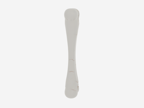Realistic 3D Anatomy Model of Skeleton Leg Bone with Detailed Joints Marrow Exposure and Crack Patte 3Dモデル