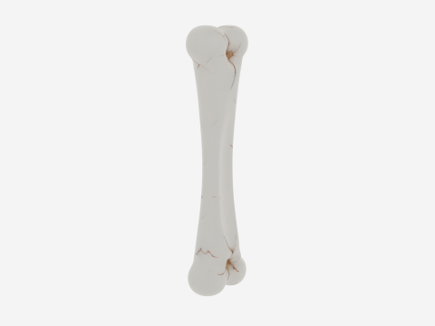 Realistic 3D Anatomy Model of Skeleton Leg Bone with Detailed Joints Marrow Exposure and Crack Patte 3Dモデル
