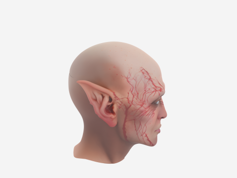 High-Quality 3D Goblin Ear Prosthetic with Skin Tone Foam and Clip Mechanism 3D Model