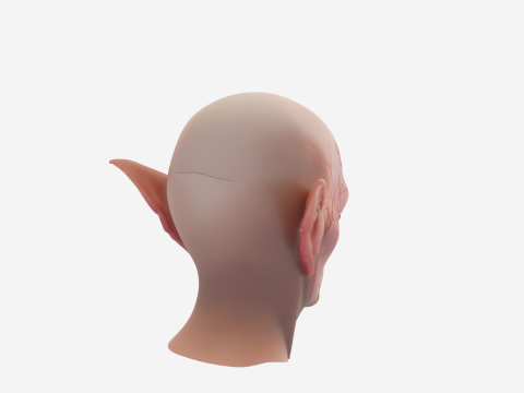 High-Quality 3D Goblin Ear Prosthetic with Skin Tone Foam and Clip Mechanism 3D Model