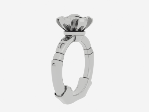 Bague d'orteil squelette 3D professionnelle avec conception de joint en argent émaillé Modèle 3D