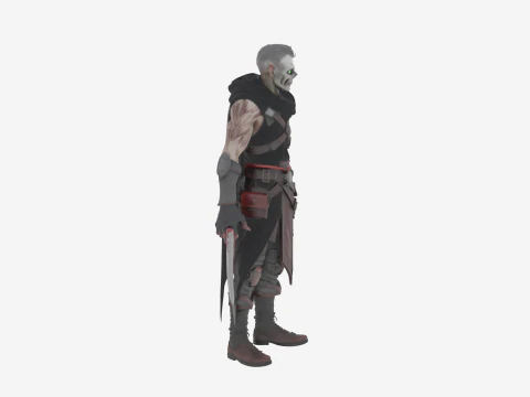 Detailed Shadowy Undead Rogue World of Style 3D Model