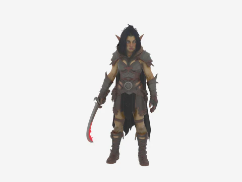 Szczeg&oacute;łowa tajemnicza łotrzyka-ork w World of Style Model 3D