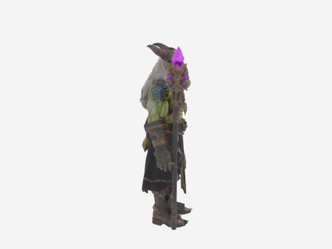Zeer gedetailleerde Sinister Orc Warlock World of Style 3D Model