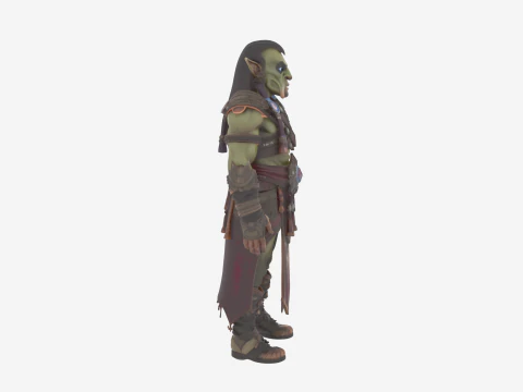 Imposante mage orc femelle arcanique dans World of Style Modèle 3D