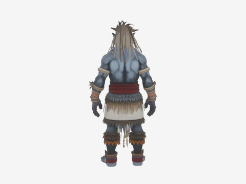 Detailed Mystical World of Troll Witch Doctor 3D Model