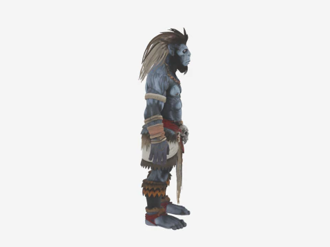 Detailed Mystical World of Troll Witch Doctor 3D Model
