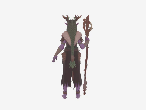 Graceful Nature Attuned Night Elf Druid World of Style 3D Model