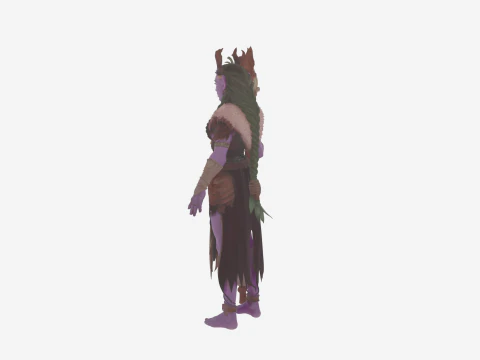 Graceful Nature Attuned Night Elf Druid World of Style 3D Model