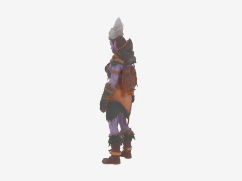 Detailed Agile Feral Night Elf Hunter World of Style 3D Model