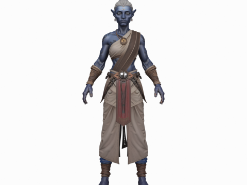 Scribe haut elfe élégant et détaillé dans World of Style Modèle 3D