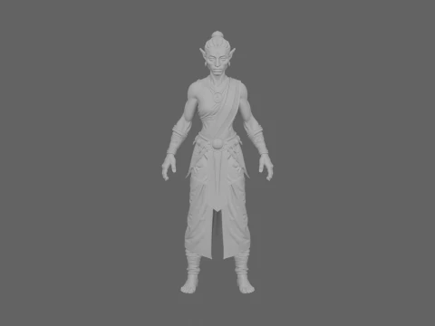 Detailed Elegant High Elf Scribe in World of Style 3D Model