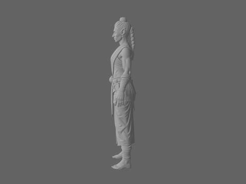 Detailed Elegant High Elf Scribe in World of Style 3D Model