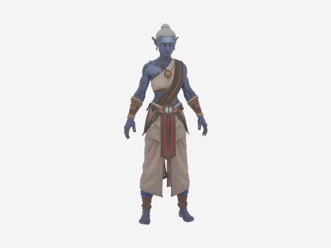 Detailed Elegant High Elf Scribe in World of Style 3D Model