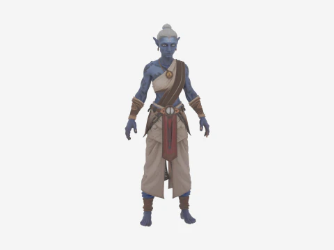 Detailed Elegant High Elf Scribe in World of Style 3D Model