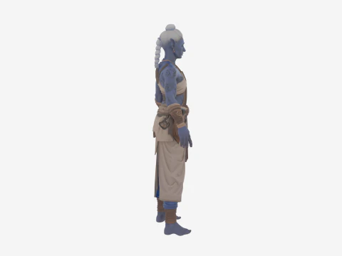 Detailed Elegant High Elf Scribe in World of Style 3D Model
